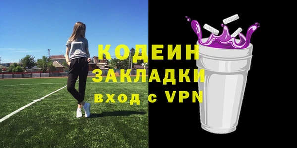 дмт Каменка