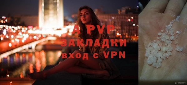 дмт Каменка
