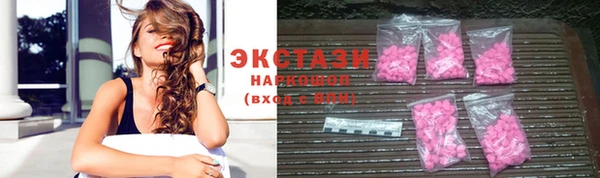 СК Каменногорск