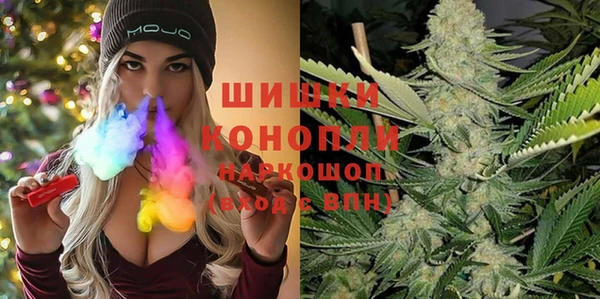 индика Козельск