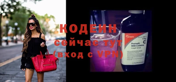 дмт Каменка
