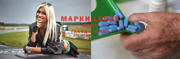дмт Каменка