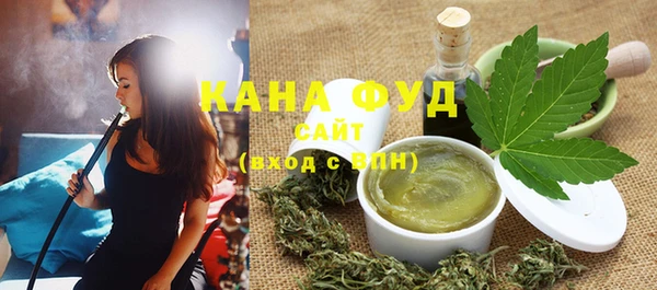 индика Козельск