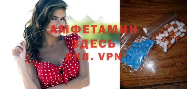 дмт Каменка