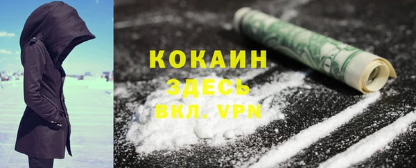 дмт Каменка