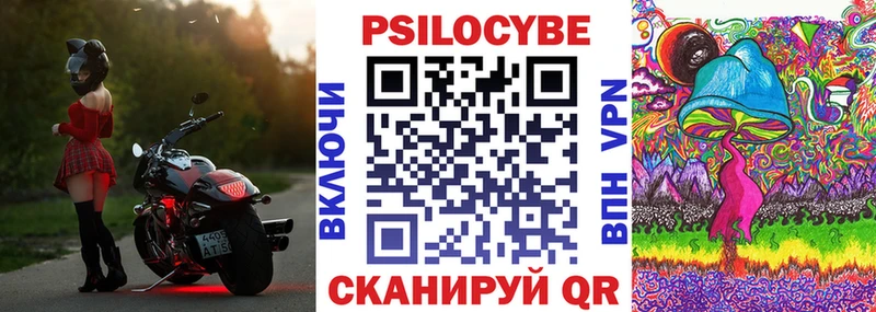Купить закладки  Лесозаводск  Псилоцибиновые грибы Psilocybe 