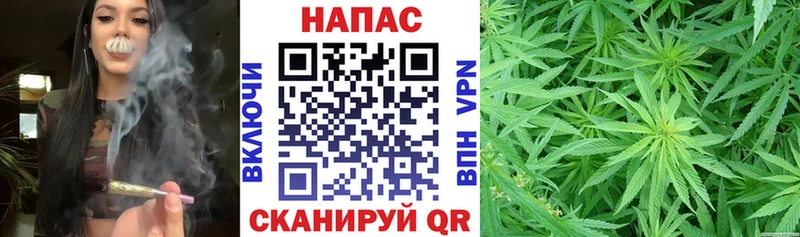 Бошки Шишки ГИДРОПОН Лесозаводск